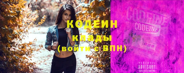 шишки Няндома
