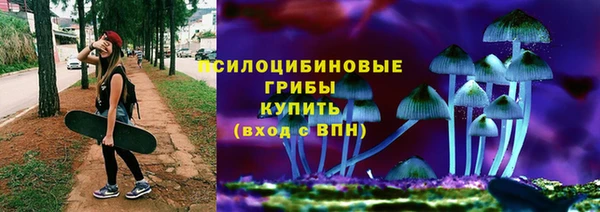стаф Алзамай