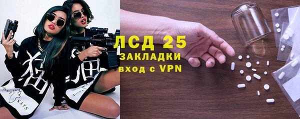 стаф Алзамай