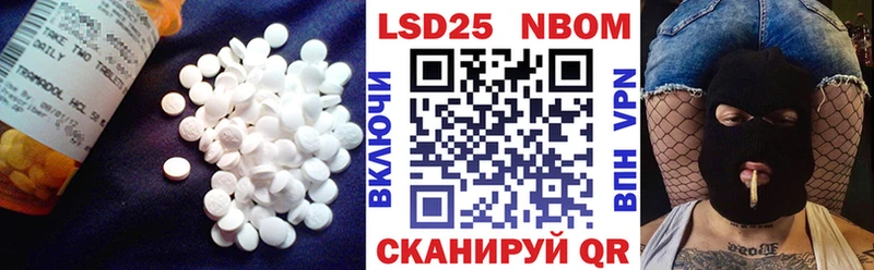 где найти   Зеленоградск  LSD-25 экстази ecstasy 