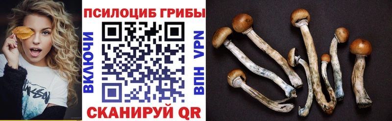 Галлюциногенные грибы MAGIC MUSHROOMS  Зеленоградск 